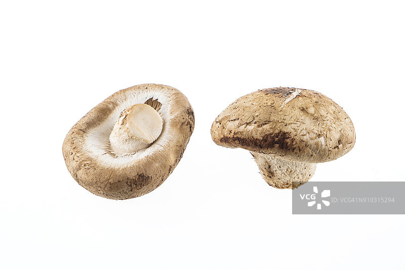 蘑菇的特写在白色的背景图片素材