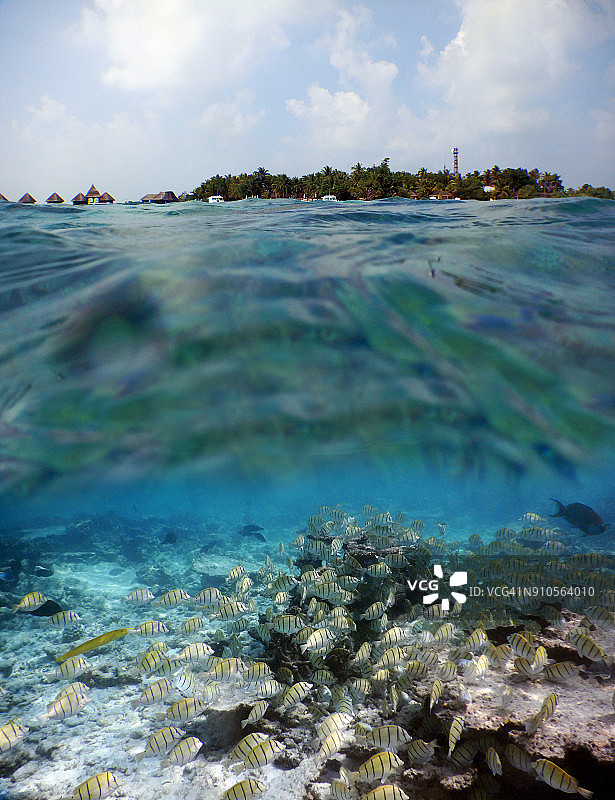 鱼群和白色沙滩，上面和水下图哈吉里岛的图像图片素材