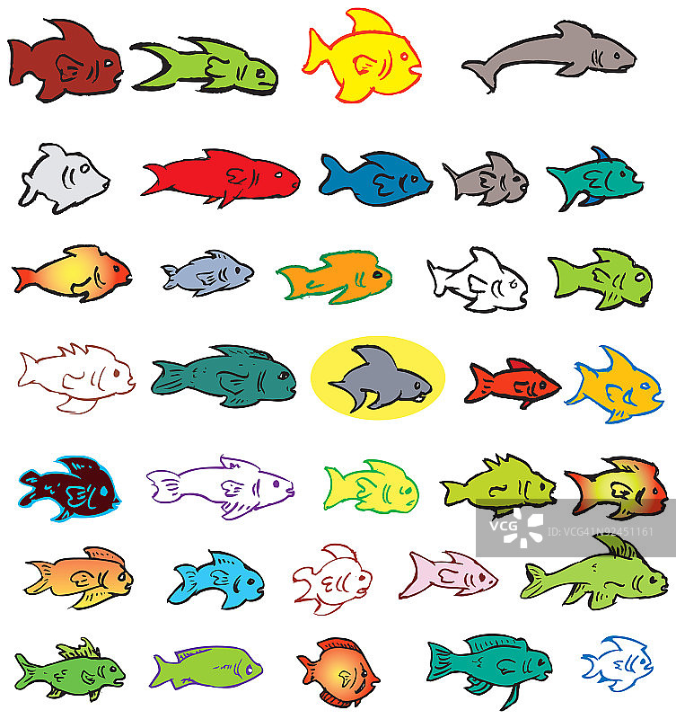 33条鱼(和一条鲨鱼!)插图图片素材