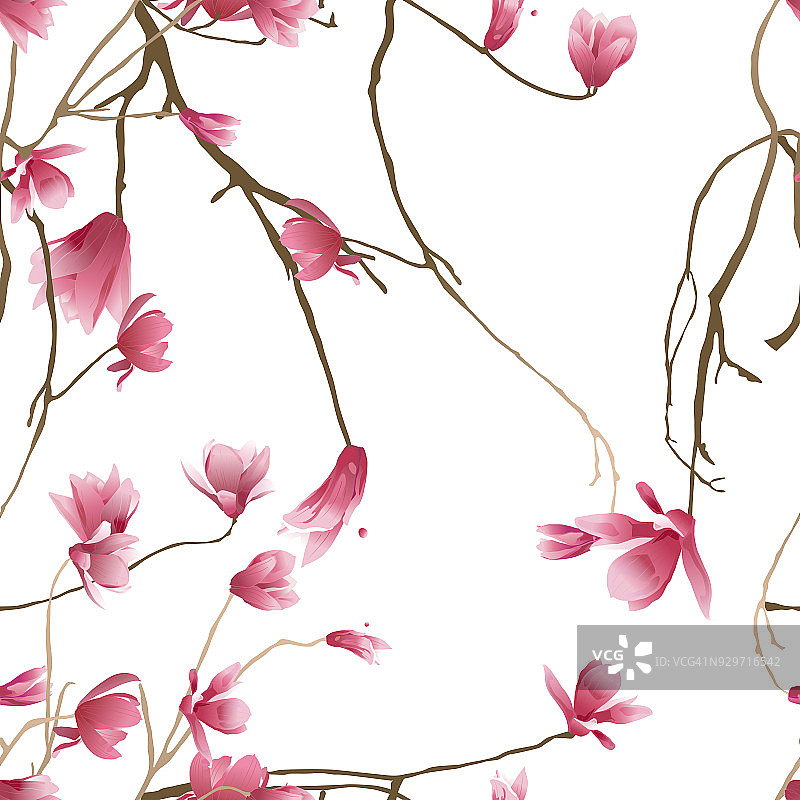 矢量无缝模式的木兰花图片素材