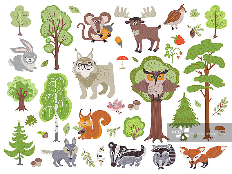 森林野生动物，鸟类和树木。卡通森林孤立的白色背景图片素材