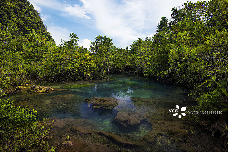 背景自然在森林与河流在国家公园。图片素材