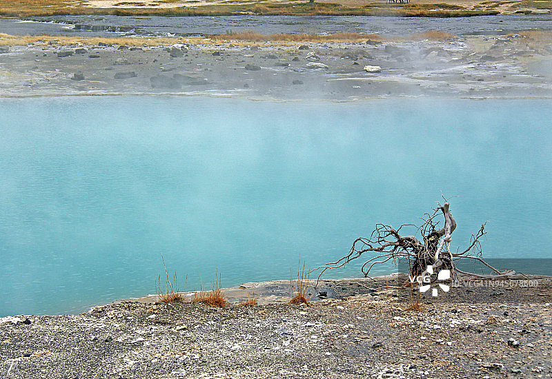 在怀俄明州黄石国家公园的上间歇泉盆地，冒着热气的蓝色地热池和死去的植物图片素材