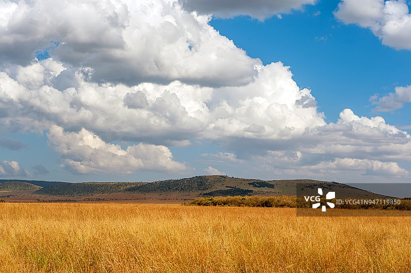 肯尼亚国家公园的草原景观图片素材