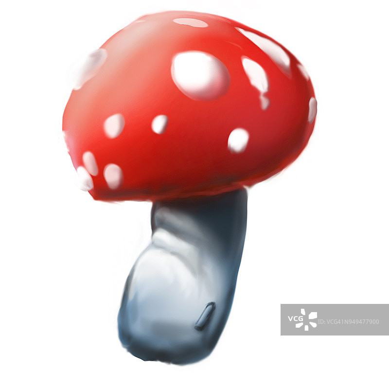 插图的蘑菇。蘑菇图案不适合食用。图片素材