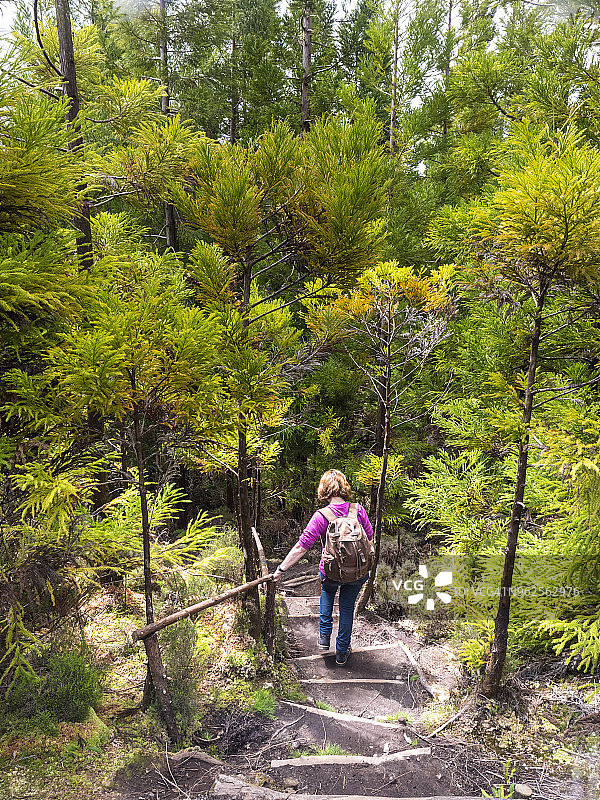 在葡萄牙亚速尔群岛的特塞拉岛，一名妇女正走在穿过森林或丛林的土路上。图片素材