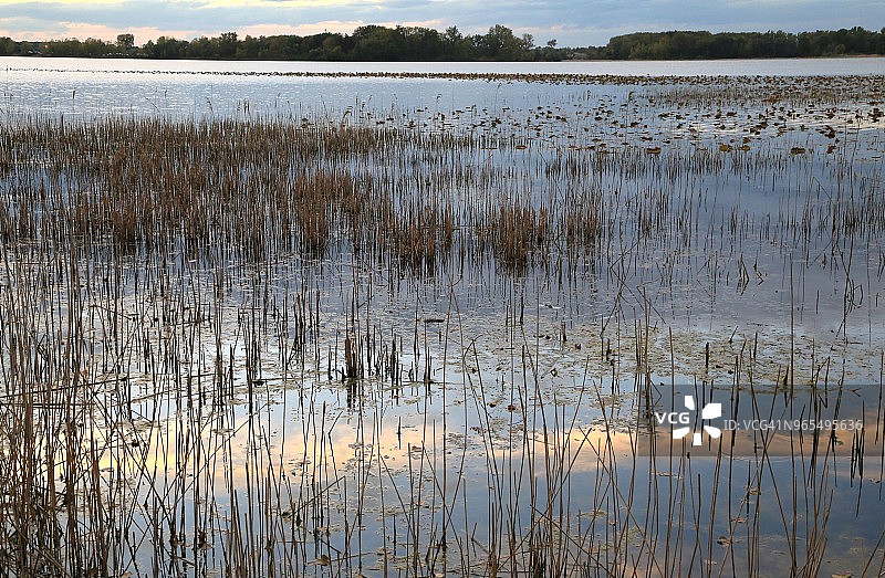 湿地傍晚的日落图片素材