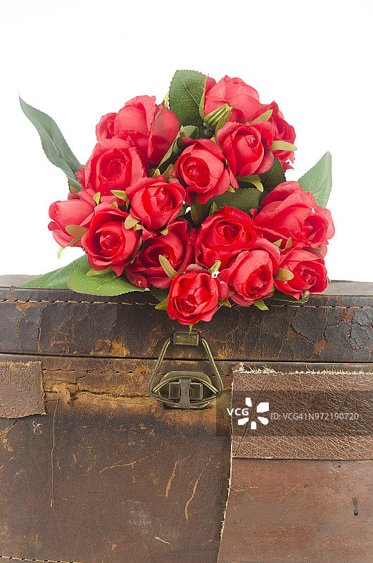 情人节红玫瑰的照片。图片素材
