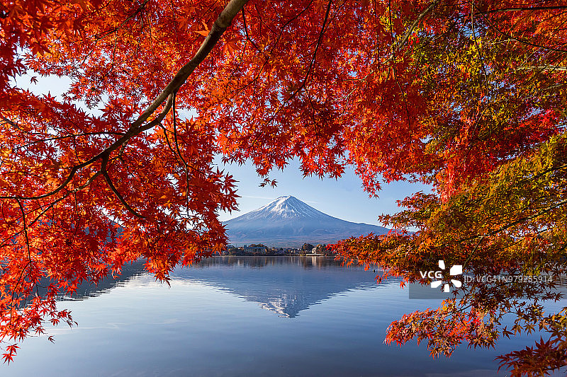日本的秋日，富士山上美丽的日出和红叶在川口湖。富士山是日本最好的地方之一。图片素材