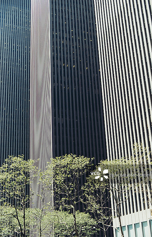摩天大楼附近的树图片素材