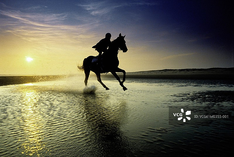 沙滩上骑马的人，剪影图片素材