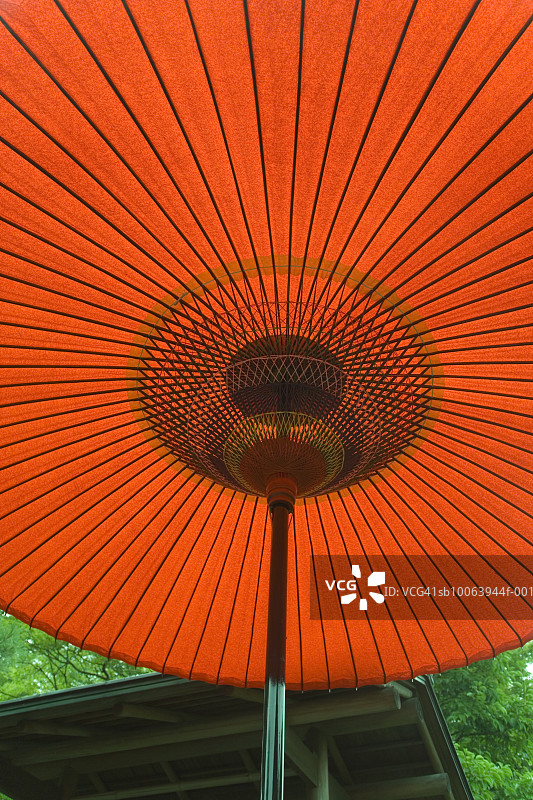 红色Janome伞，特写，低角度观看图片素材