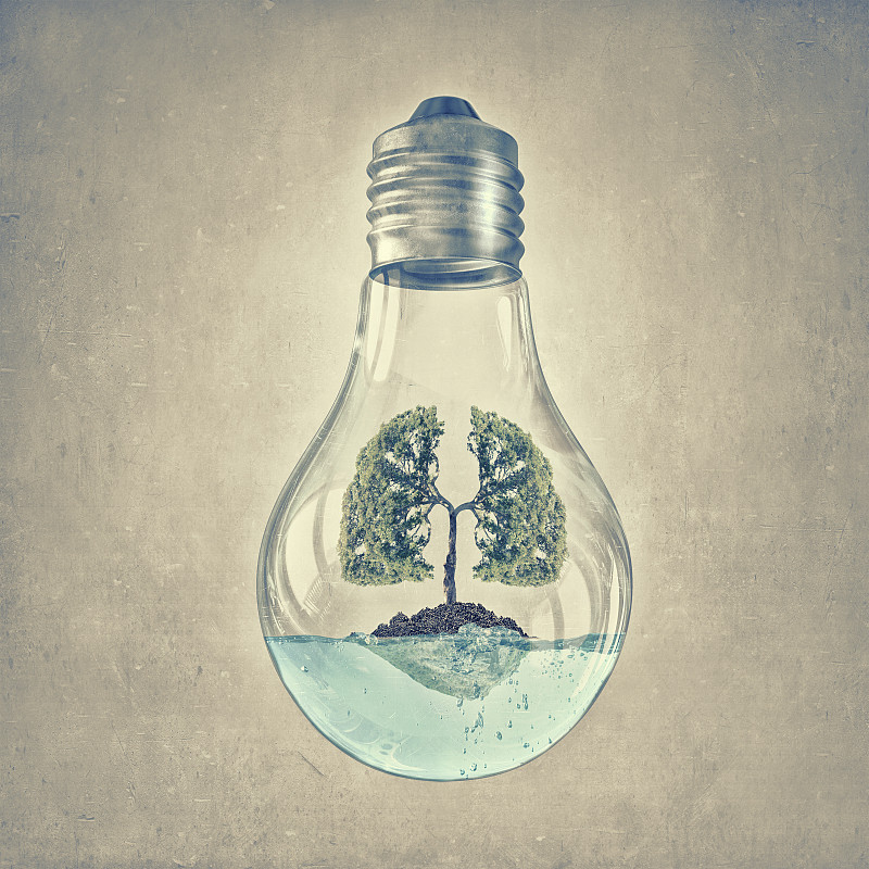 绿色能源的概念。里面长着绿树的玻璃灯泡图片下载