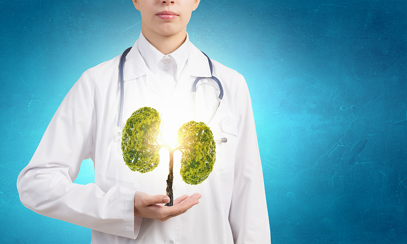 健康的肺。近距离的女医生抱着绿树在手中图片素材