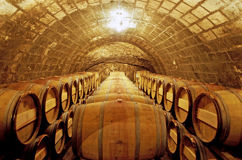 法国普罗旺斯西蒙酒庄的酒窖图片下载