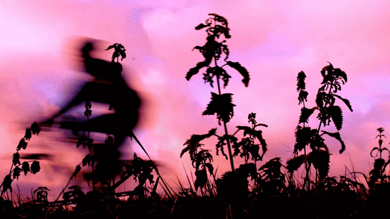 模糊的人骑着自行车，粉红色的天空，在风中飘动的植物图片下载