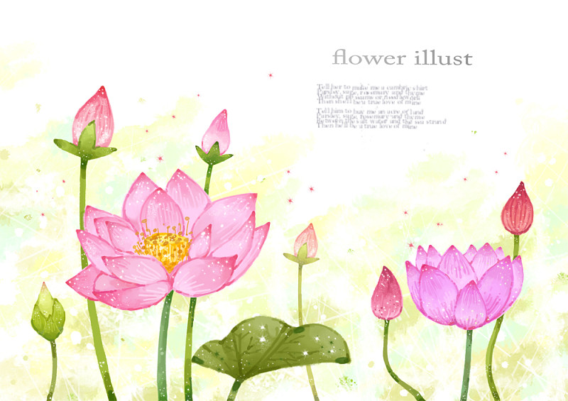 花卉水彩插图与Copyspace图片素材