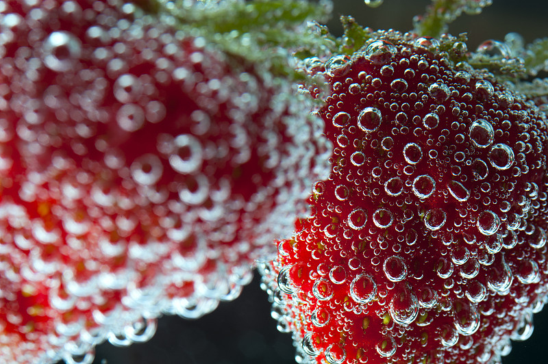 草莓在水中与泡沫，特写图片素材