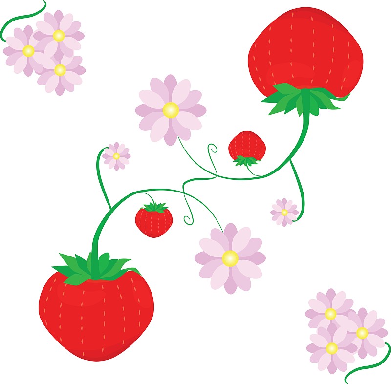 草莓开花简笔画图片