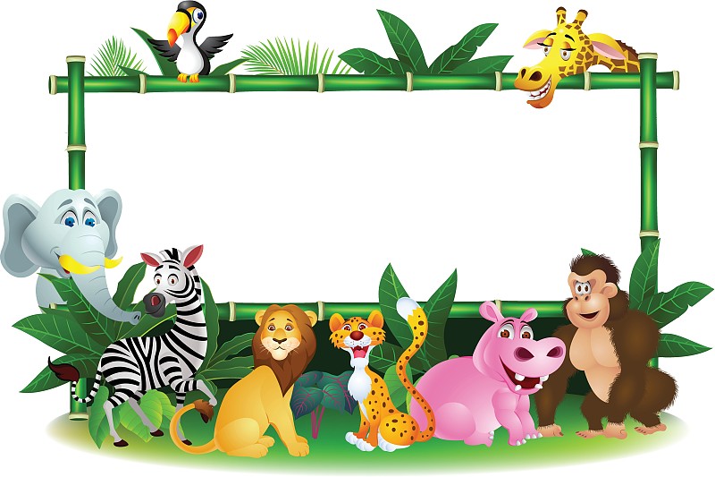 收集动物园的动物在白色的背景