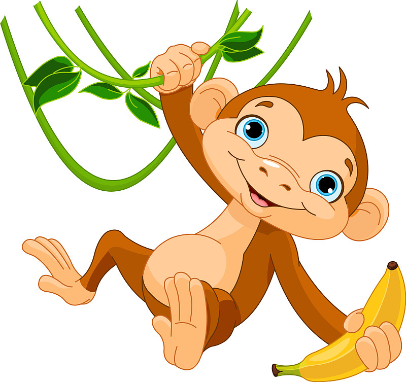 小猴子照片卡通形象图片