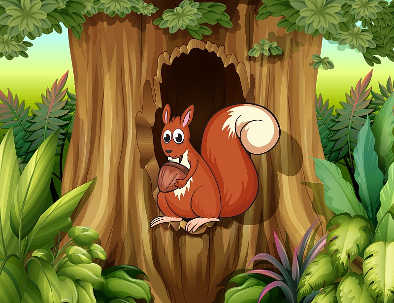 树洞里的动物 卡通图片