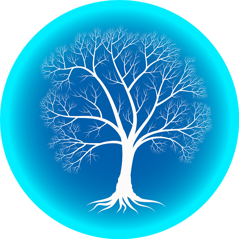 冬季摘一棵树枝光秃秃的蓝树图片素材
