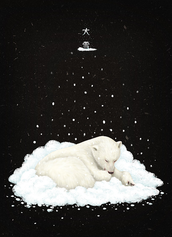 24节气大雪-白熊图片素材