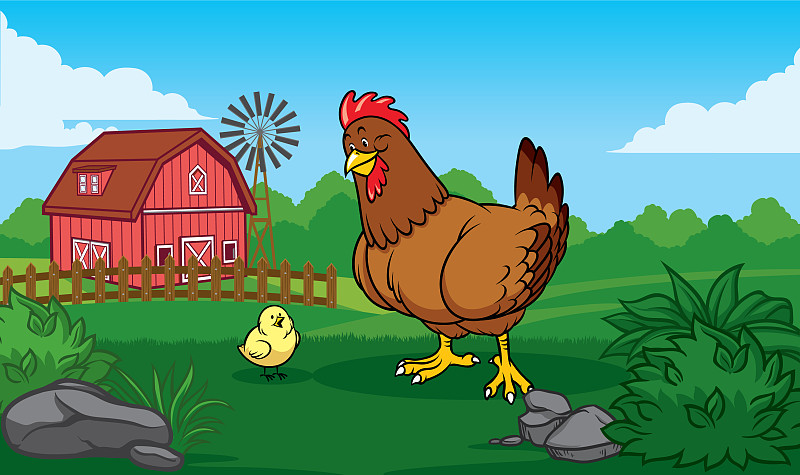 母鸡和小鸡在农场里图片