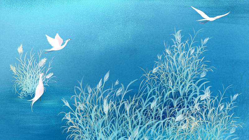 秋天金色的树林与蓝色的湖面上飞舞的白鸟创意手绘插画下载