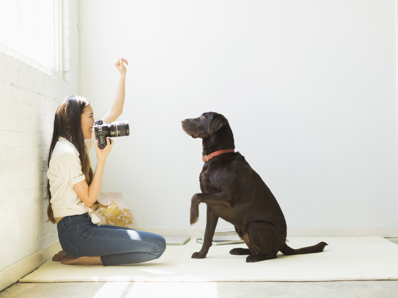 在摄影棚里给狗拍照的女人图片素材