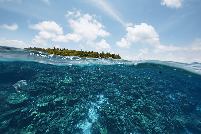 马尔代夫，从印度洋看一个岛屿图片下载