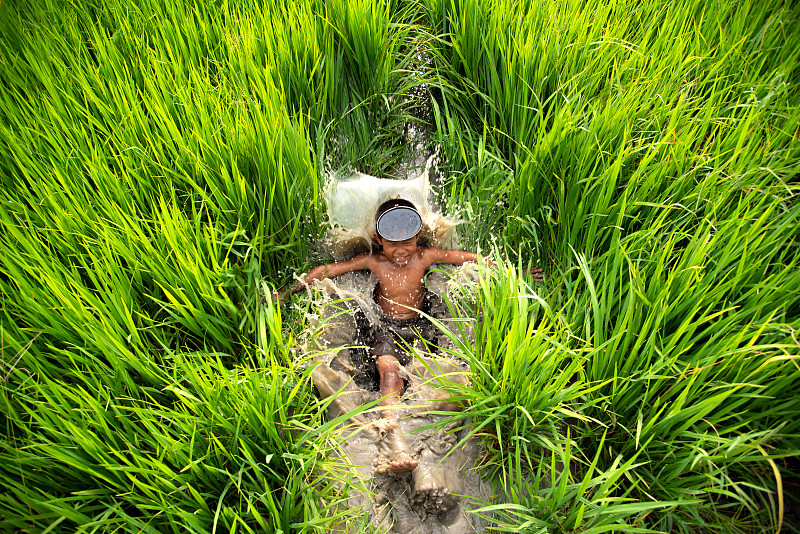 亚洲农民的孩子在农村的稻田里玩水，是美丽而又美丽的大自然带着微笑和幸福。图片下载