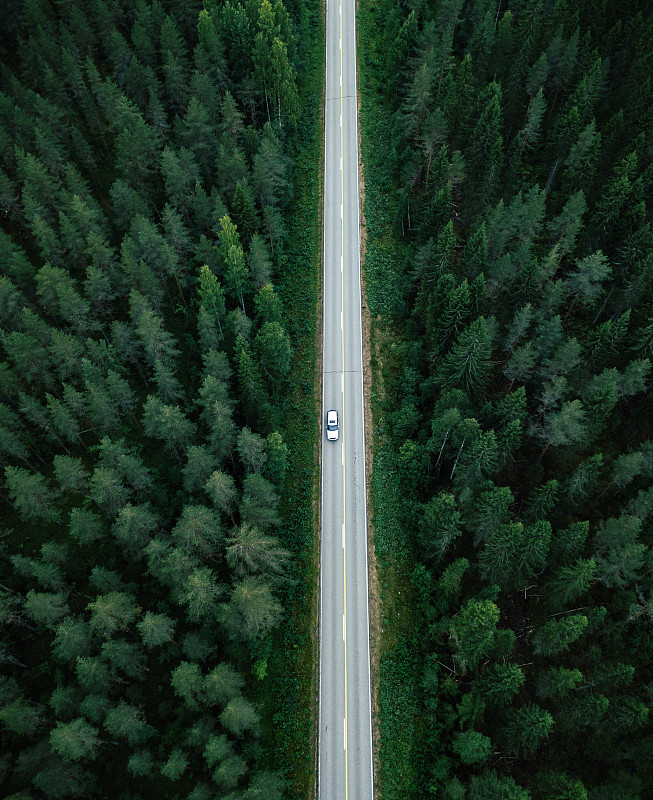 鸟瞰图一长直的乡村道路在森林中央在芬兰图片下载