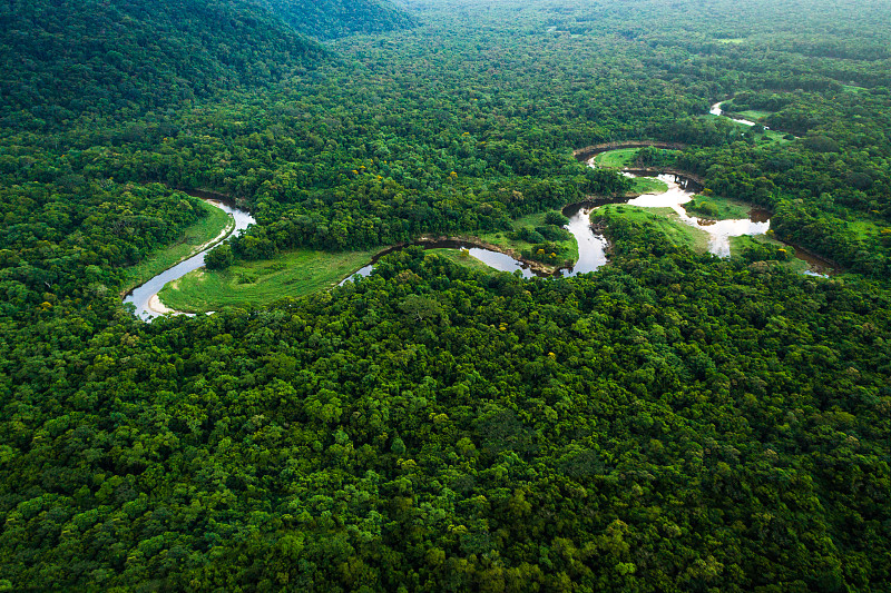 巴西的大西洋森林，玛塔亚特兰提卡图片素材