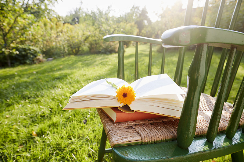 在阳光的照射下，在花园里的椅子上，一本打开的书，以一朵花作为书签的静物图片素材