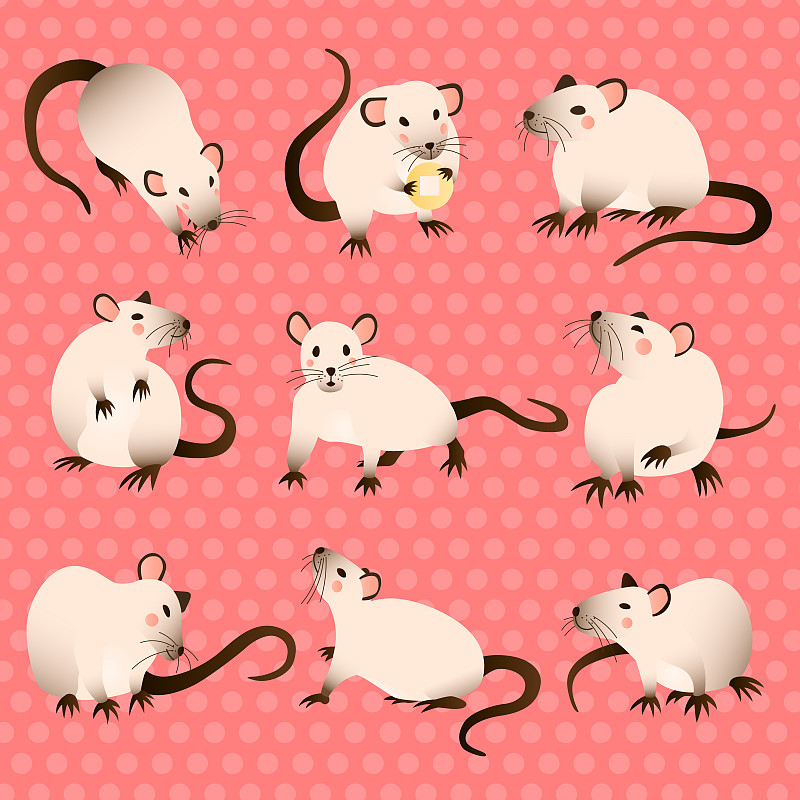可爱的老鼠各种姿势卡通矢量插图图片素材