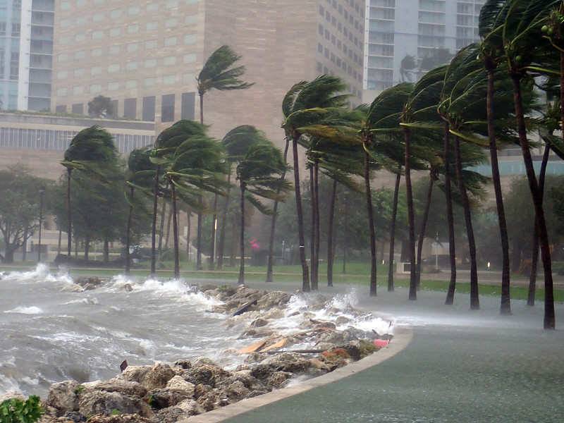 飓风艾玛极端袭击佛罗里达州迈阿密的图片图片下载