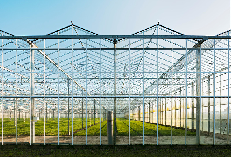 Greenhouse in Westland, area with the highest concentration of greenhouses in Netherlands图片素材
