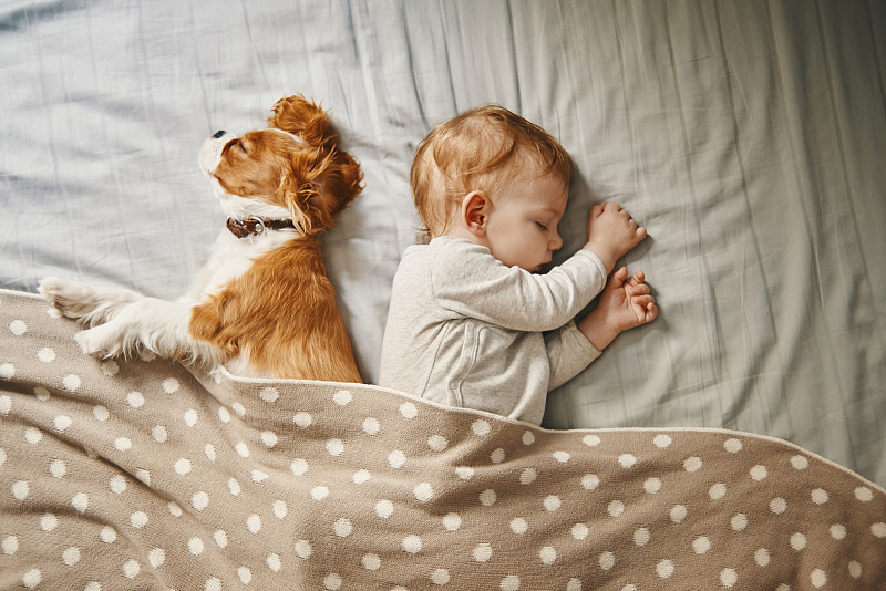 婴儿和他的小狗在安静地睡觉图片素材