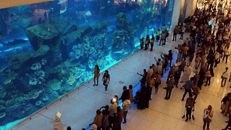 大型水族馆，迪拜购物中心，迪拜，阿联酋图片下载