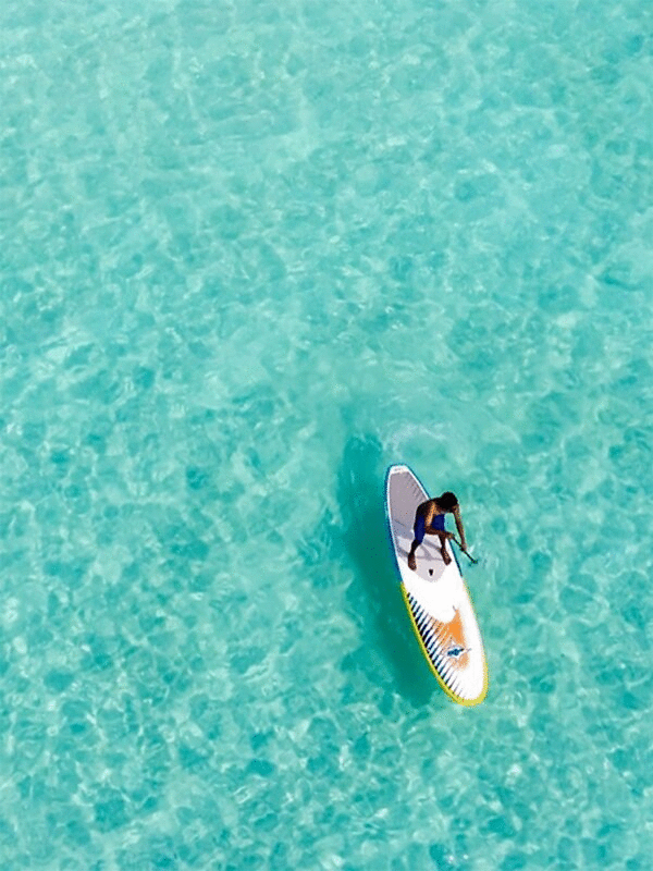 高角度的女人在碧绿的水上划桨板图片下载