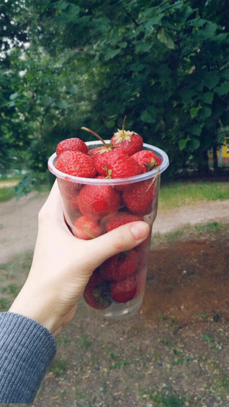 手拿着装满草莓的塑料杯图片下载