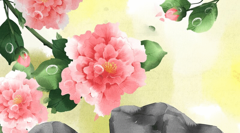 水彩风格植物花卉扶桑花插画动图图片下载
