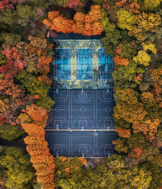 中国浙江杭州的之江路边篮球场秋色图片素材
