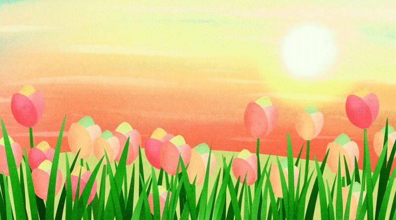 橙黄色的郁金香花丛上飞过的鸟插画GIF动图插画下载