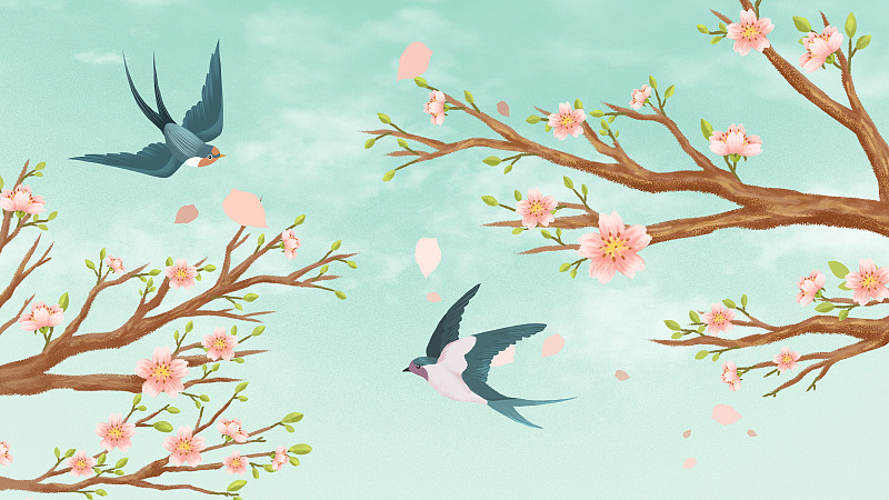 晴朗天空下的樱花和燕子图片素材