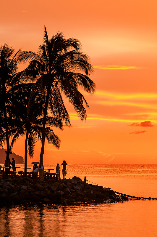 人们在棕榈树下欣赏被夕阳映红的天空和海洋。图片素材