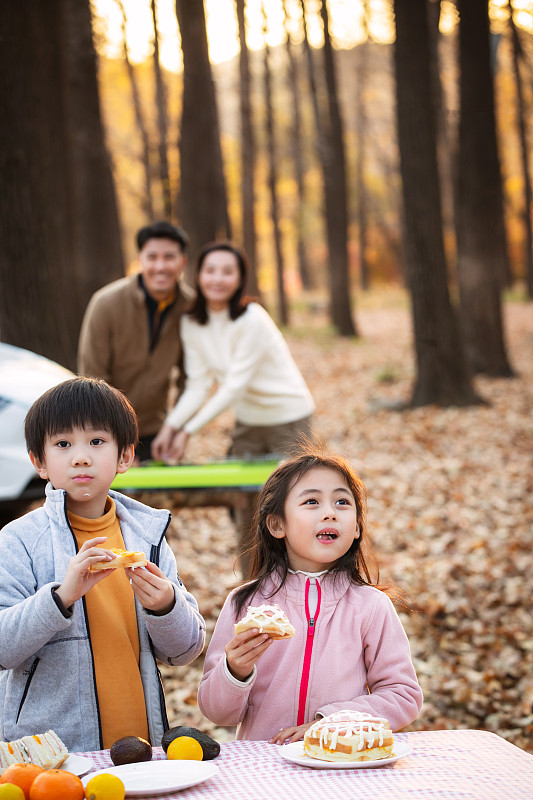 秋天幸福家庭户外烧烤野餐图片素材