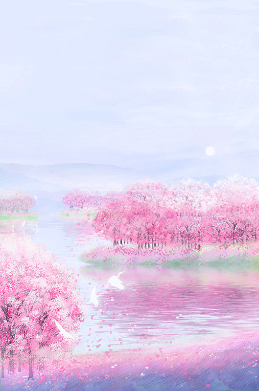春天早晨樱花园的樱花盛开插画背景图片